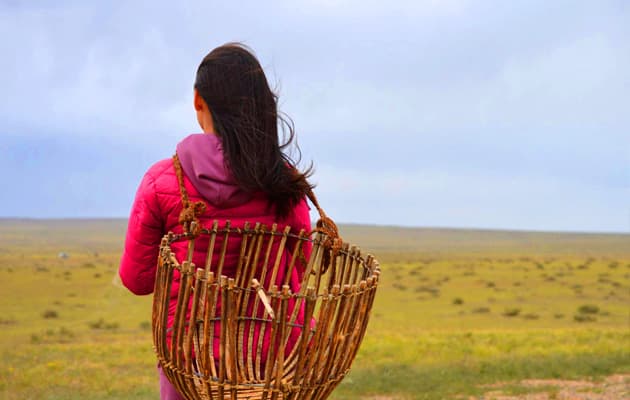 ГОВЬ ХӨТӨЛБӨР